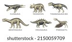 Flat set of ancient dinosaur skeletons with pliosaurus triceratops tyrannosaurus rex brontosaurus stegosaurus and pterodactyl isolated vector illustration