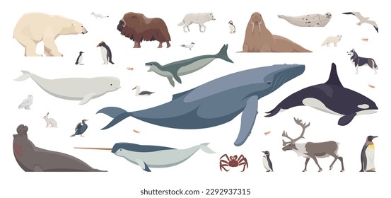 Flat set of arctic animals. Isolated polar animals on white background. Vector illustration