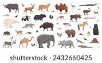 Flat set of asian animals. Isolated animals on white background. Vector illustration