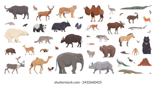 Conjunto plano de animales asiáticos. Animales aislados sobre fondo blanco. Ilustración de vector