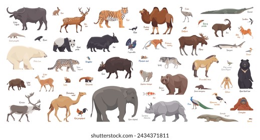 Flat set of asian animals. Isolated animals on white background. Vector illustration