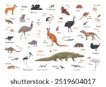 Flat set of australian animals. Isolated animals on white background. Vector illustration