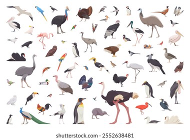 Flat set of birds. Isolated birds on white background. Vector illustration