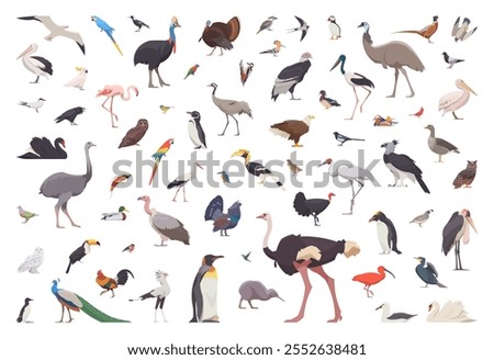 Flat set of birds. Isolated birds on white background. Vector illustration