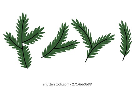 Conjunto plano de pinheiro colorido de Natal e ramos de abeto. Coleção apresenta agulhas sempre verdes simples. Ótimo para criar cartões de saudação sazonais, etiquetas, rótulos, padrões e desenhos botânicos decorativos