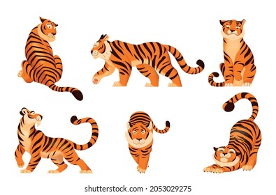 Conjunto plano de tigres adorables en varias poses aisladas en ilustración vectorial de fondo blanco