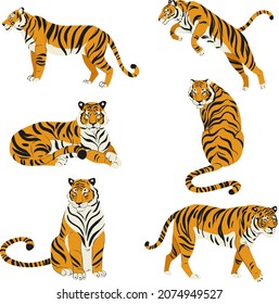 Flat set of cute tigers in various poses isolated on white vector illustration