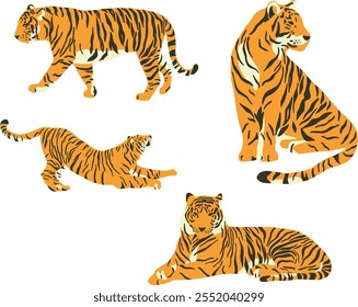 Conjunto plano de tigres bonitos em várias poses isoladas na ilustração de vetor de fundo transparente