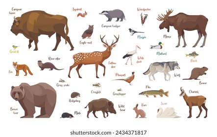 Conjunto plano de animales europeos. Animales aislados sobre fondo blanco. Ilustración de vector