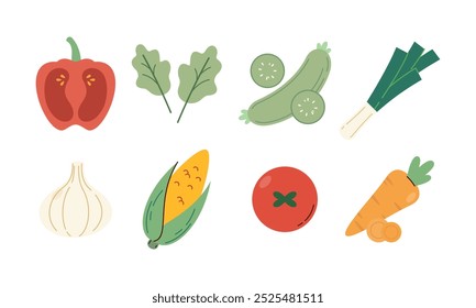 Flat Set Hand Drawn Healthy Food Illustration of Vegetables Vector Isolated on White Background