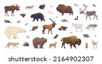 Flat set of north american animals. Isolated animals on white background. Vector illustration