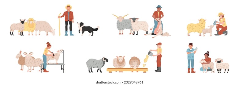 Flat set of people feeding shearing looking after sheep on farm isolated vector illustration