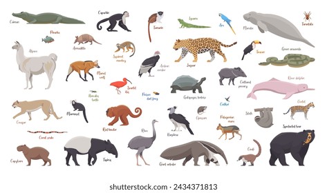 Flat set of south american animals. Isolated animals on white background. Vector illustration