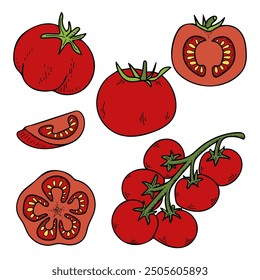 Flat set tomatoes. Harvest ripe fruits. Vegetables garden. Sliced tomato, cherry on branch. Hand drawn vector doodle illustration.