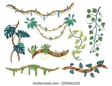 Flat set of tropical lianas with green leaves isolated on white background vector illustration