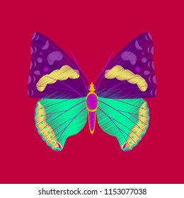 flat shading style icon butterfly