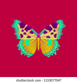 flat shading style icon butterfly