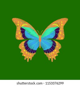 flat shading style icon butterfly