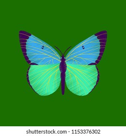 flat shading style icon butterfly