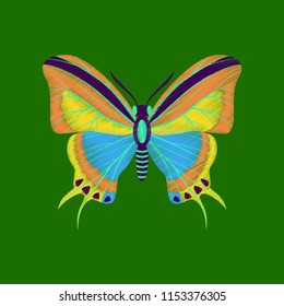 flat shading style icon butterfly