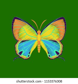 flat shading style icon butterfly