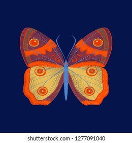 flat shading style icon butterfly