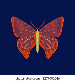 flat shading style icon butterfly