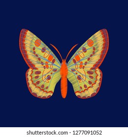 flat shading style icon butterfly