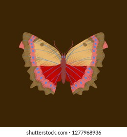 flat shading style icon butterfly