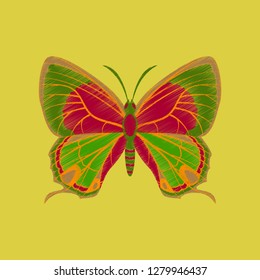 flat shading style icon butterfly