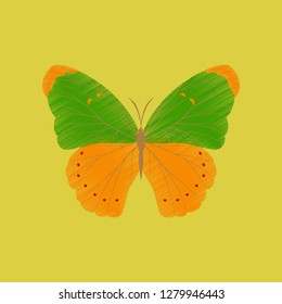 flat shading style icon butterfly