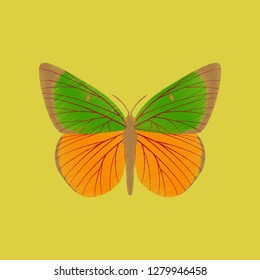 flat shading style icon butterfly