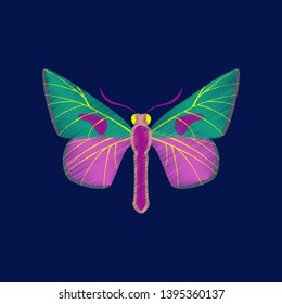 flat shading style icon butterfly