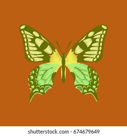 flat shading style icon butterfly