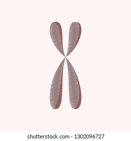 flat shading style icon chromosome