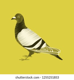flat shading style icon dove