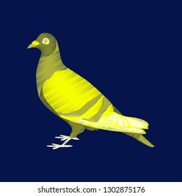flat shading style icon dove