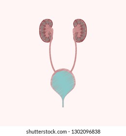 flat shading style icon excretory system