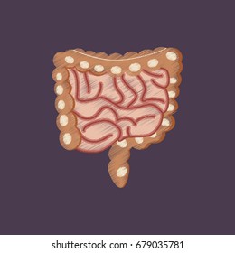 flat shading style icon gastrointestinal tract