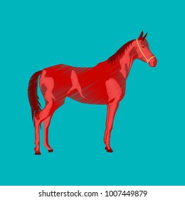 flat shading style icon horse