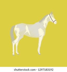 flat shading style icon horse