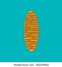 flat shading style icon mitochondrion