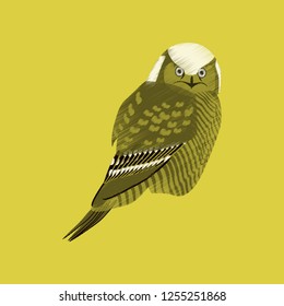 flat shading style icon owl