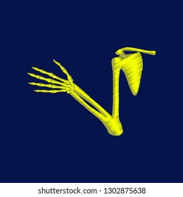 flat shading style icon shoulder joint