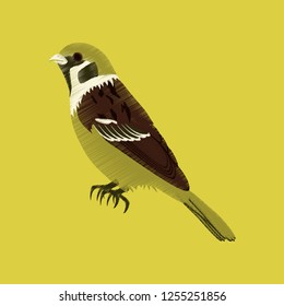 flat shading style icon sparrow