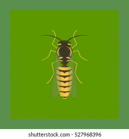 flat shading style illustration insect wasp