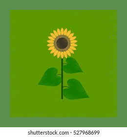 flat shading style illustration sunflower
