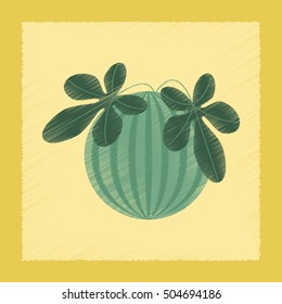 flat shading style Illustrations plant Citrullus