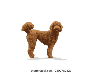 flat shaggy dog portrait It has a beautiful color scheme and the cuteness of your pet. vector