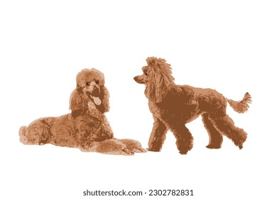 flat shaggy dog portrait It has a beautiful color scheme and the cuteness of your pet. vector